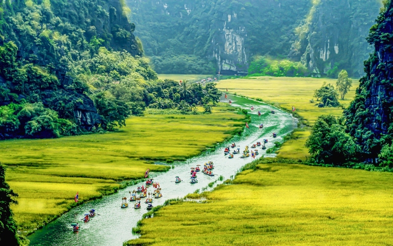 In Tam Coc, golden rice fields follow the curve of the Ngo Dong River, creating a stunning natural pattern. The view from above reveals both the beauty of nature and the rhythm of local life.