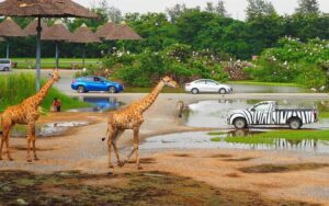 Safari World in Bangkok