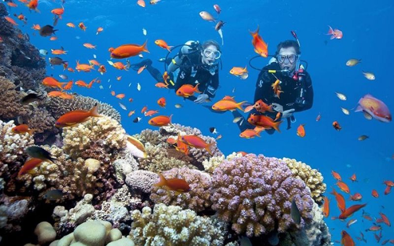 Tourists snorkeling among colorful coral reefs and tropical fish at Hon Mun Island, Nha Trang