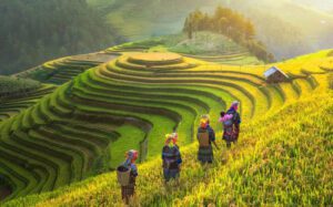 Sapa Vietnam