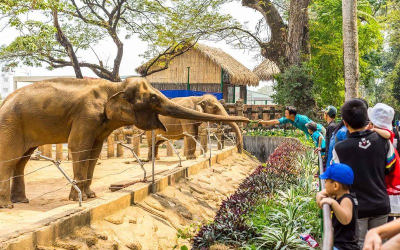 Saigon Zoo and Botanical Gardens