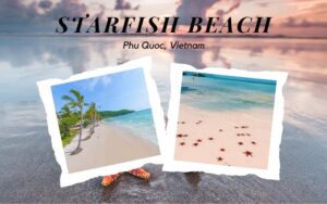 starfish beach phu quoc