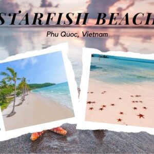 Starfish Beach in Phu Quoc – The Kingdom of Sea Stars in Vietnam