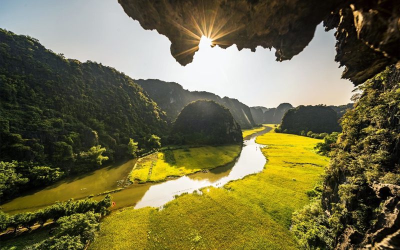 Tam Coc - Ninh Binh rice field