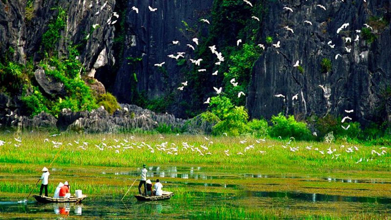Thung Nham Bird Garden in Ninh Binh