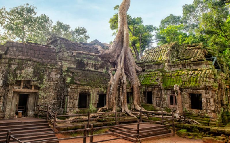 Ta Prohm Temple