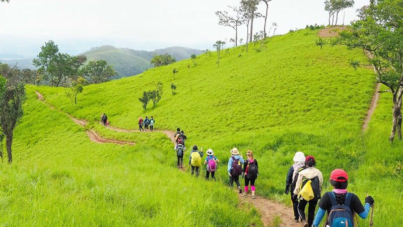 Trekking In Vietnam: 20 + Most Beautiful Roads To Conquer - IDC Travel