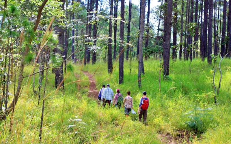 This is one of the easiest trekking trails in Cambodia