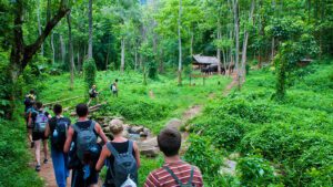 Trekking in Cuc Phuong natinal park