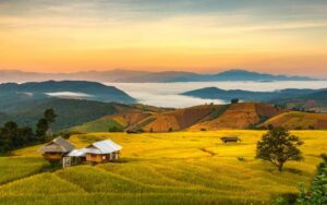 The rolling hills of Chiang Mai