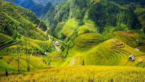 Trekking Tour Mai Chau - Pu Luong 3 Days 2 Nights