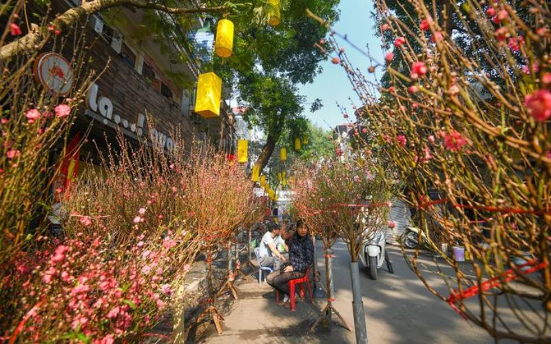 People shopping for flowers and decorations at a bustling Tet market in Vietnam.