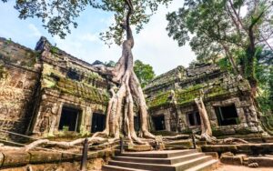 Ta Prohm