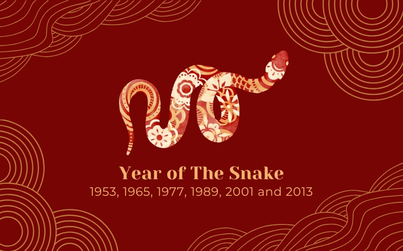 The Snake Sign