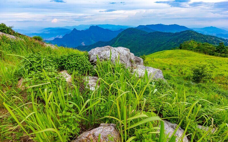 The View from Phu Chi Fa