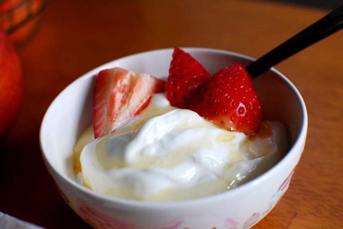 Tibetan Yogurt - Lhasa Travel Guide