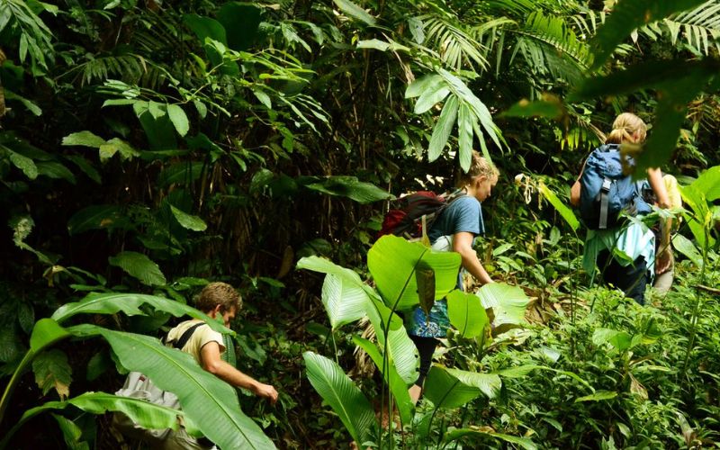 Trekking in Nam Ha Nature Reserve
