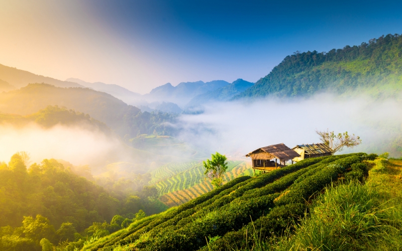 Treks and Beaches in Thailand in 18 Days