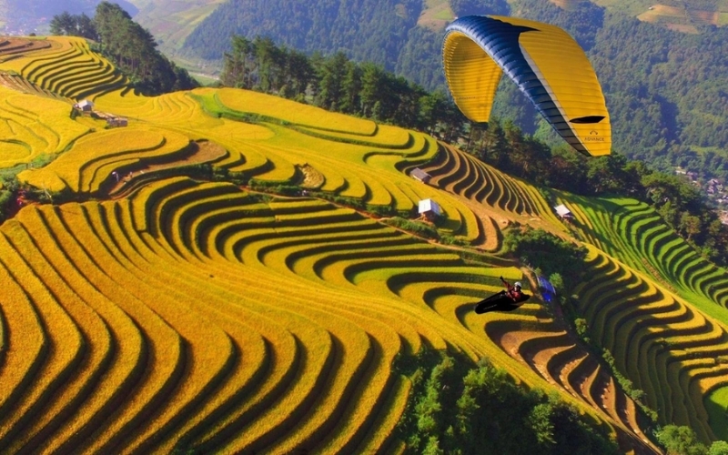 A panoramic shot of Mu Cang Chai’s layered rice fields in early autumn, framed by mountains and blue sky.