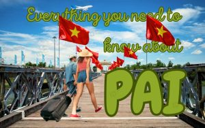 Vietnam Pre-Arrival Information PAI