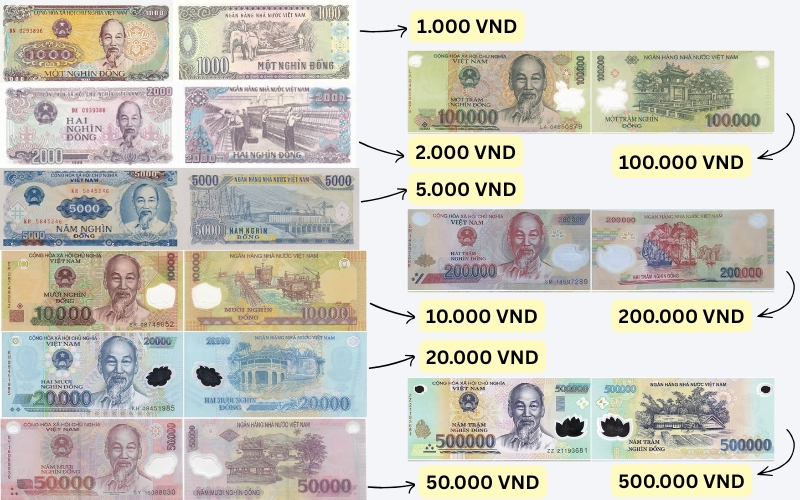 Chart showing all Vietnamese dong banknote denominations from 1,000 to 500,000 VND with corresponding note images.