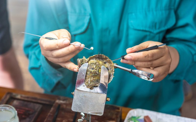 Visit the pearl-farming village in Halong Bay