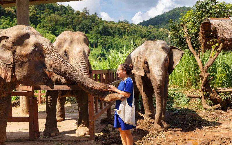 A women interacts with her "giant friend" at the Elephant Jungle Sanctuary in Phuket, Thailand