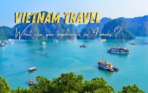 Vietnam Itinerary in 4 weeks: A panoramic daytime view of Ha Long Bay in Vietnam, featuring emerald green waters dotted with numerous white cruise ships and smaller boats. Massive limestone karsts covered in lush greenery rise from the water under a clear blue sky. The text "VIETNAM TRAVEL What can you experience in 4 weeks?" is overlaid on the upper part of the image.