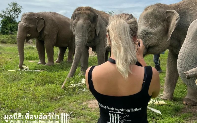 Wildlife Friends Foundation Thailand Phetchaburi