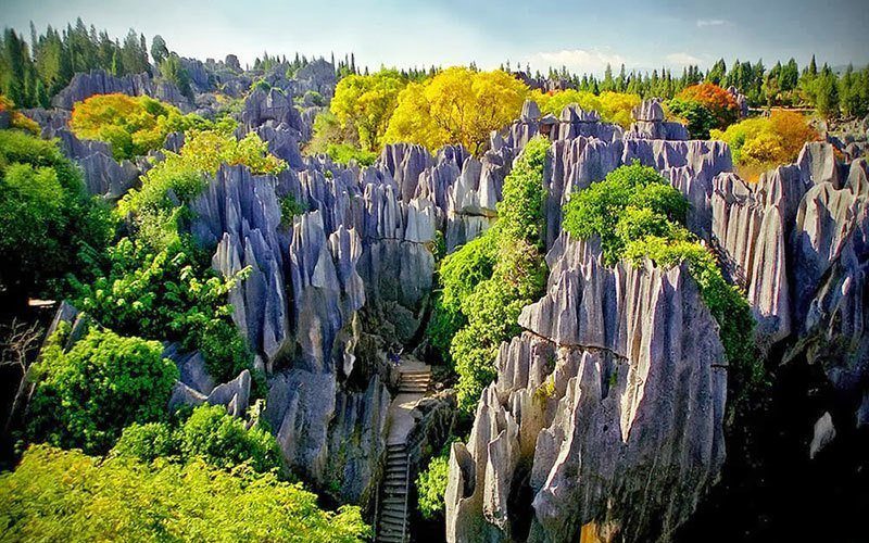 Yunnan Stone Forest