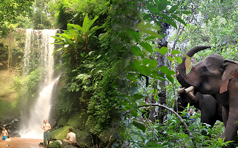 You can combine an elephant tour with your trekking adventure in Mondulkiri