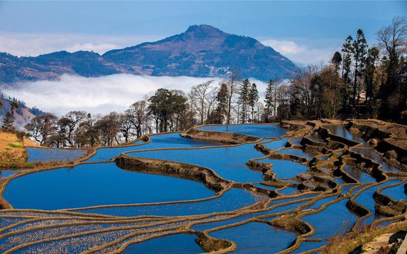 Yuanyang Hani Rice Terraces