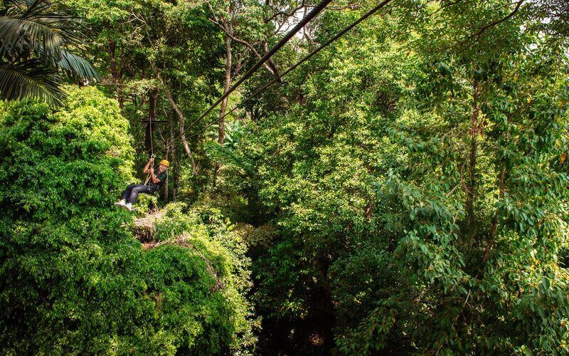 Zipline in The Jungle of Phuket